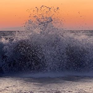 Meet your Posher, Ava